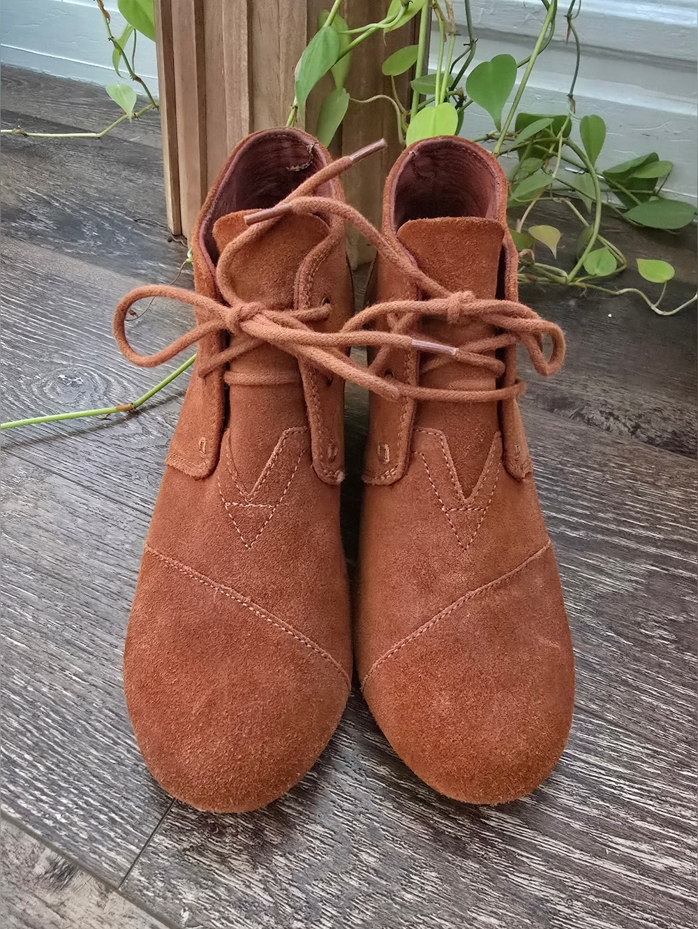 Toms Suede Lace-Up Desert Boots in Rust Brown